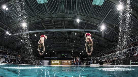 springers van eindhoven diving cup , klik voor een vergroting